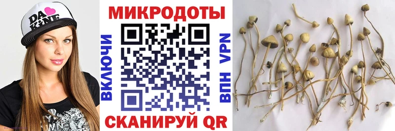 Галлюциногенные грибы мухоморы Шимановск